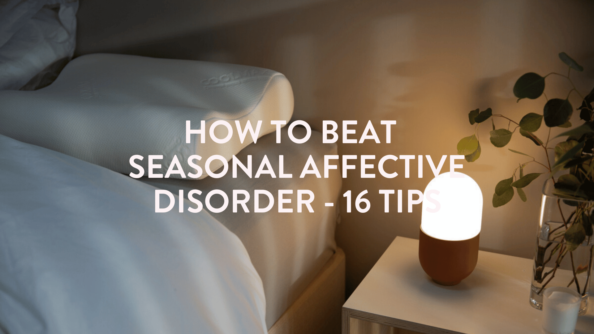 http://putnams.co.uk/cdn/shop/articles/How_to_beat_seasonal_affective_disorder_-_16_Tips.png?v=1703856643