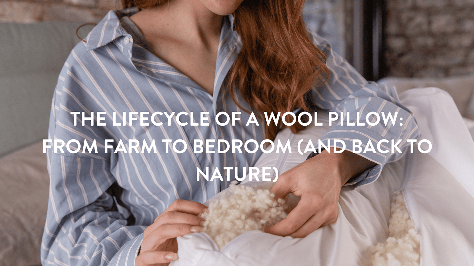 Person showing the filling in a Putnams Organic British wool pillow