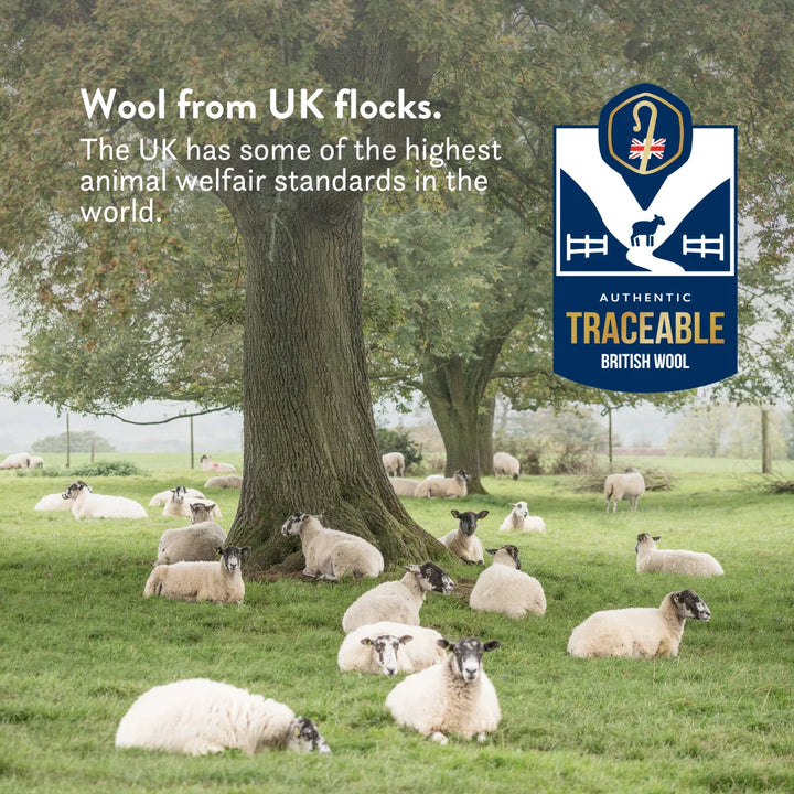 Wool from UK flocks. The UK has some of the highest animal well-fair standards in the world. Authentic traceable British wool.