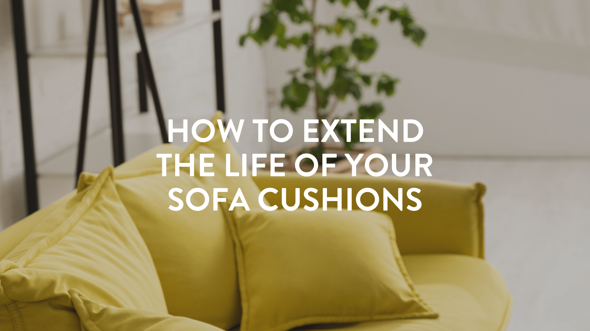 How to extend the life of your sofa cushions Refilling. Putnams