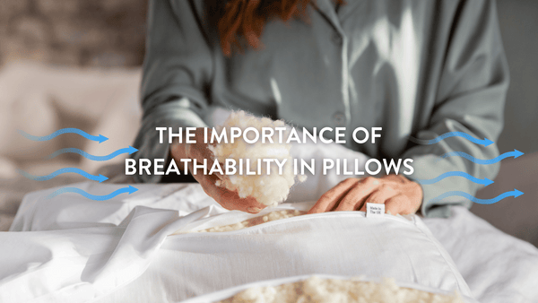 Person showing the contents of a Putnams British Wool Pillow