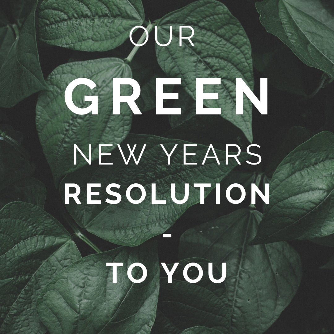 Our Green New Years Resolution To You