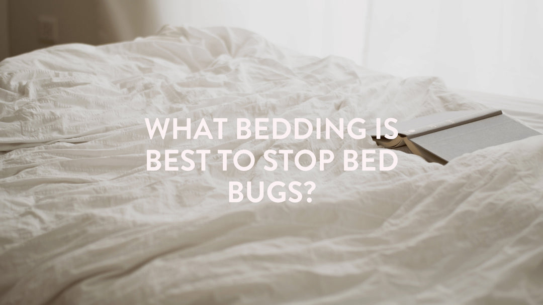 What Bedding Is Best To Stop Bed Bugs?