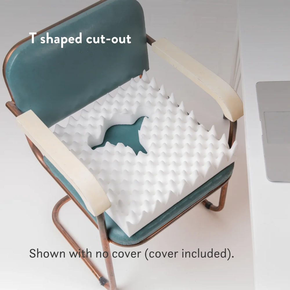 Office Cushions Comfort Sitting Pillows Putnams