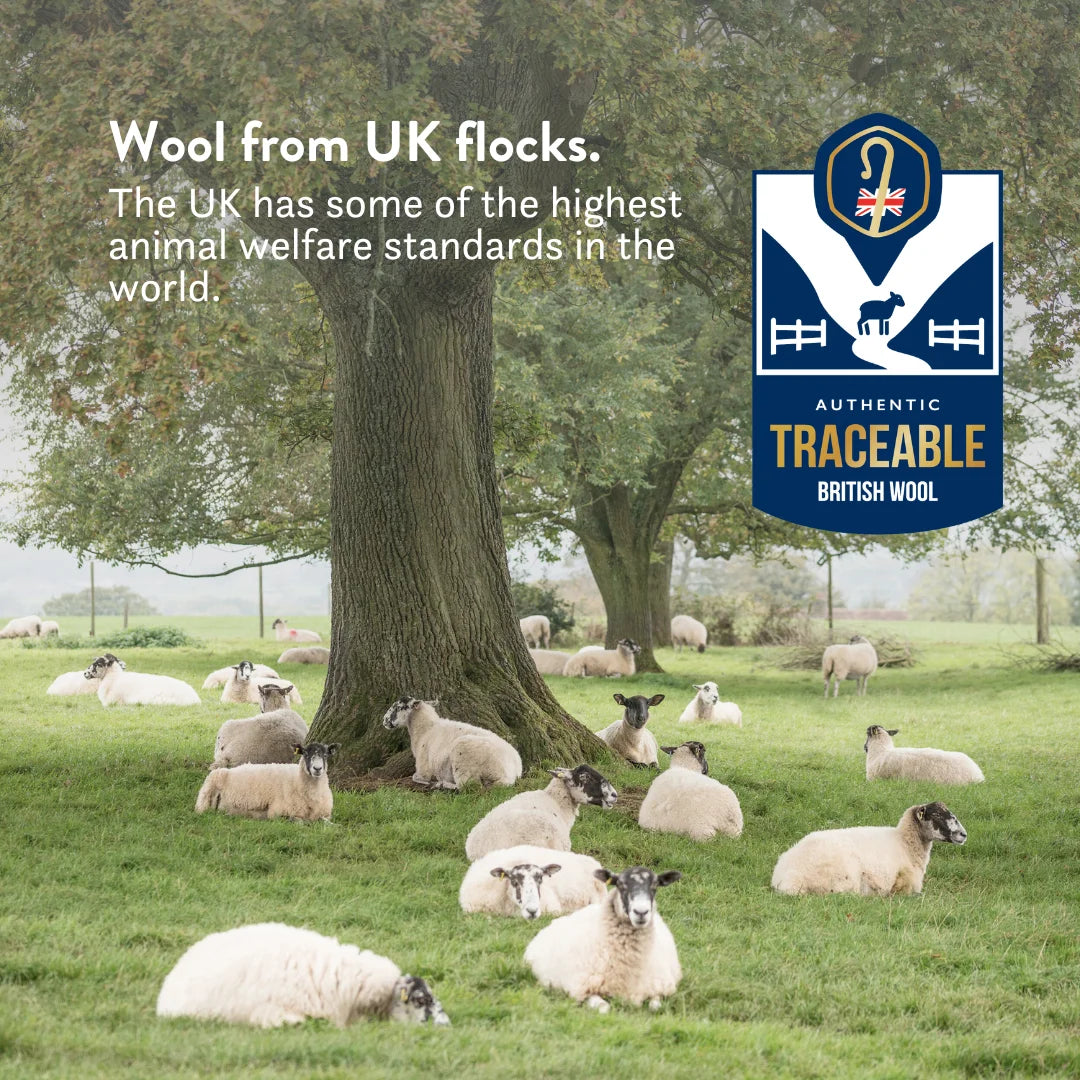 British Wool Summer Duvet 100% cotton handmade in the UK made to be hypo-allergenic, anti dust mite & sustainable. Natural bedding.