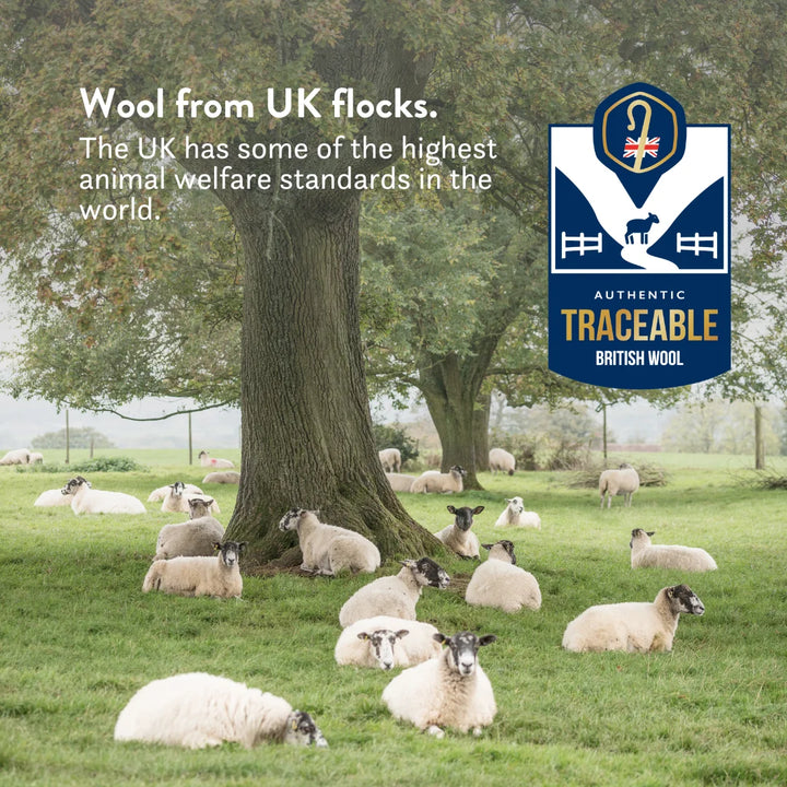 British Wool Summer Duvet 100% cotton handmade in the UK made to be hypo-allergenic, anti dust mite & sustainable. Natural bedding.