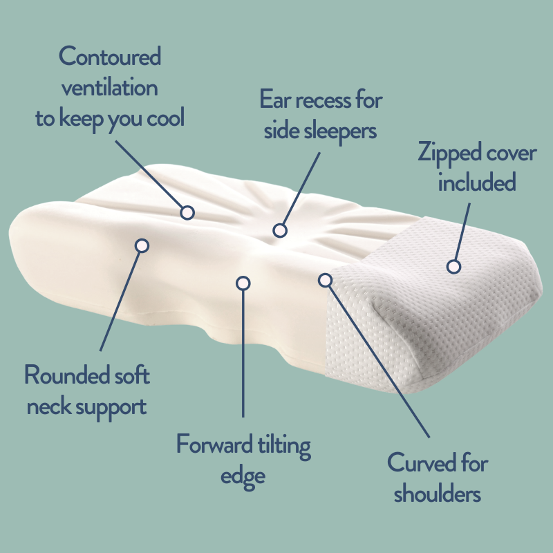 Introducing the Bed Back Support Pillow – Putnams