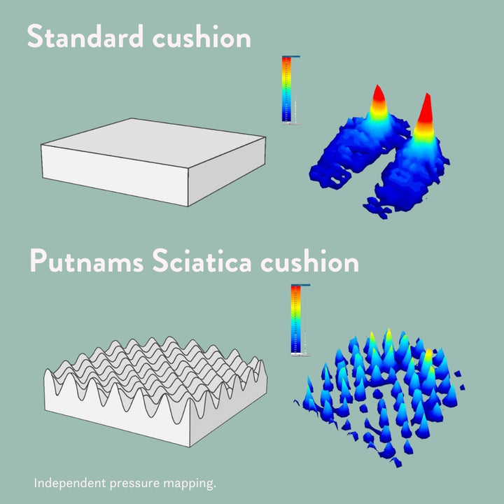 Sciatica Cushion - Putnams pain uk sitting pressure relief cushion mapping