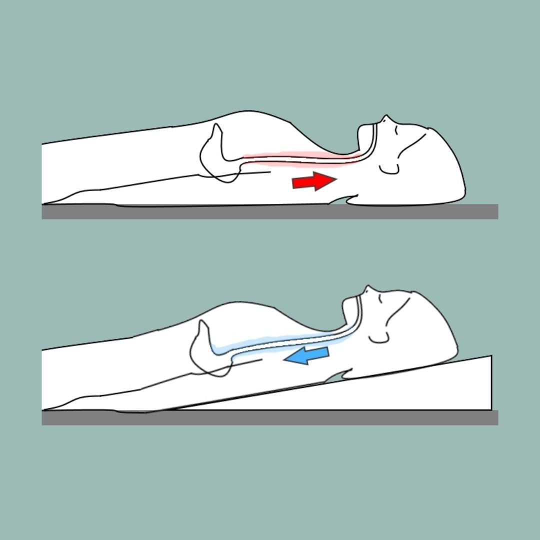 Anti-slip Zero Gravity Acid Reflux Bed Wedge