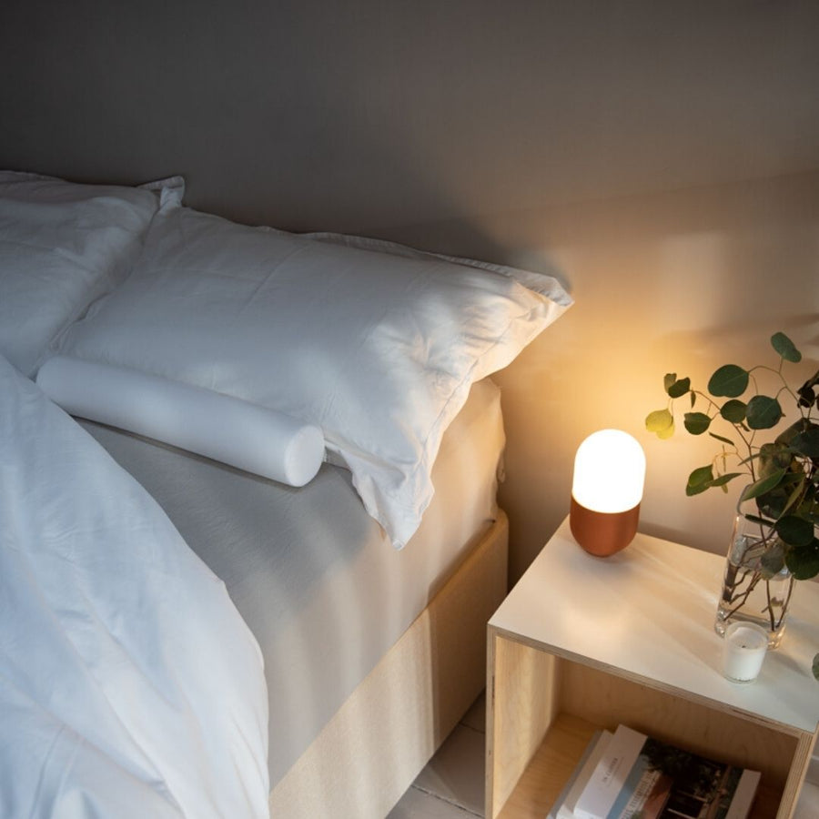 Cervical Roll Cervical Spondylosis Pillow Putnams